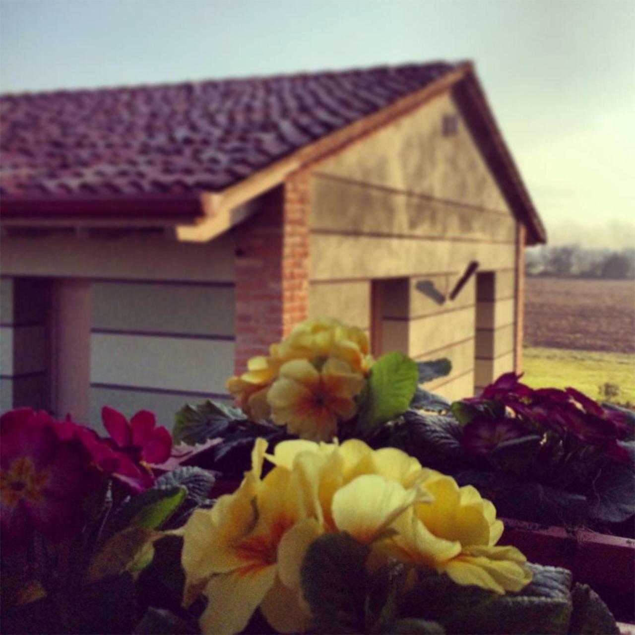 Agriturismo Bassanine Monticelli dʼOngina Exteriér fotografie