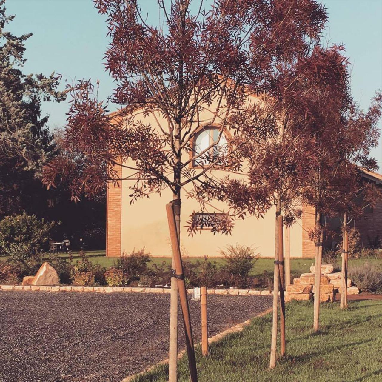 Agriturismo Bassanine Monticelli dʼOngina Exteriér fotografie
